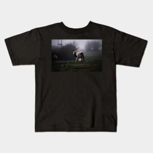 Through The Mist Kids T-Shirt